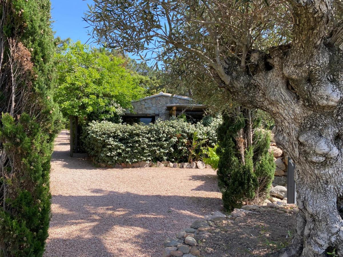 Maranatha, Front De Avec Porto-Vecchio (Corsica)